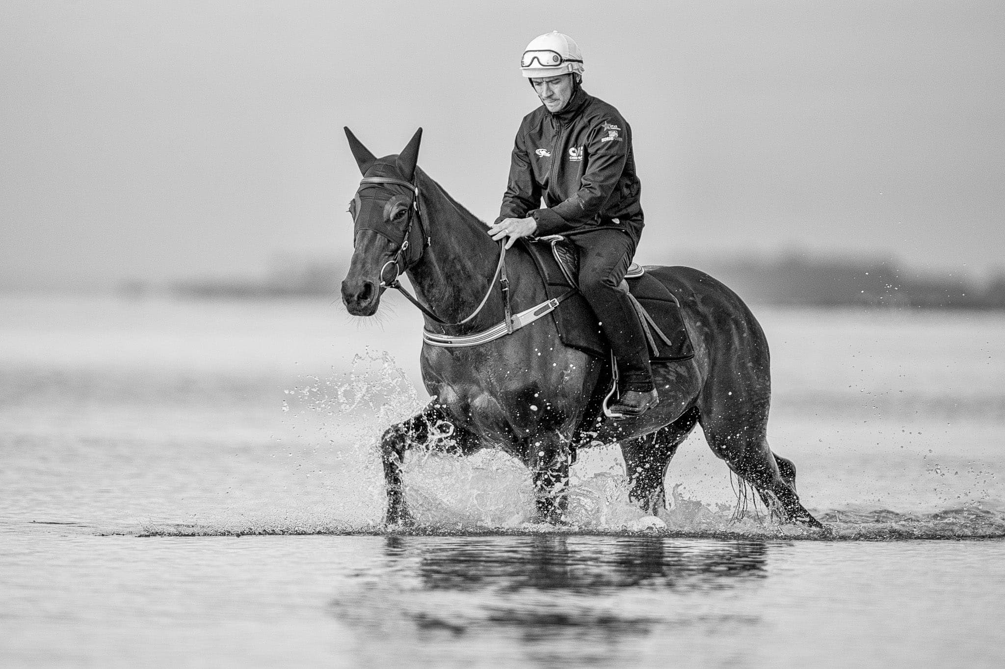 Winx, Altona, BW I — Winx Series photograph by Sharon Lee Chapman