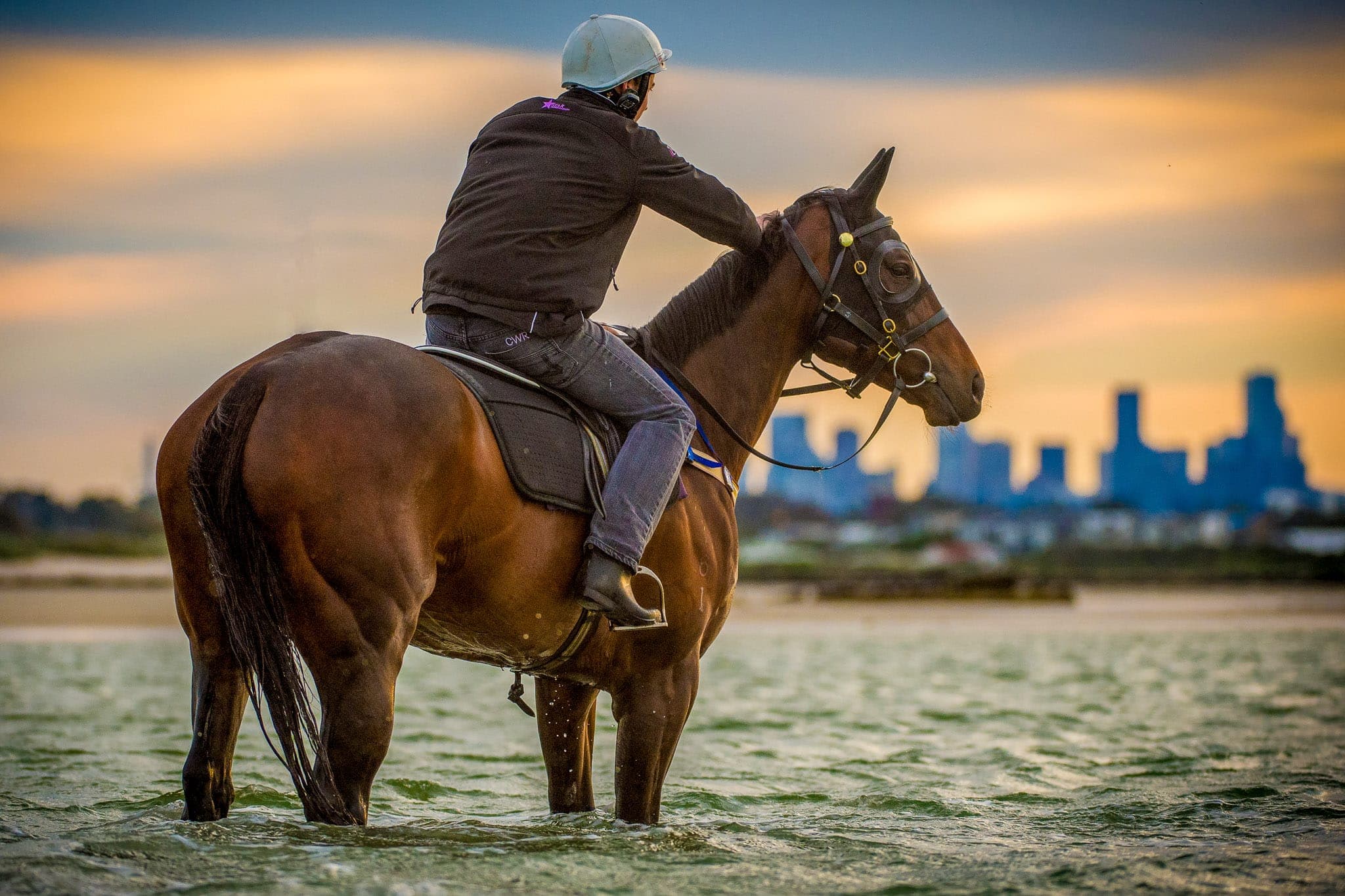 Winx, Altona, Colour III — Winx Series photograph by Sharon Lee Chapman