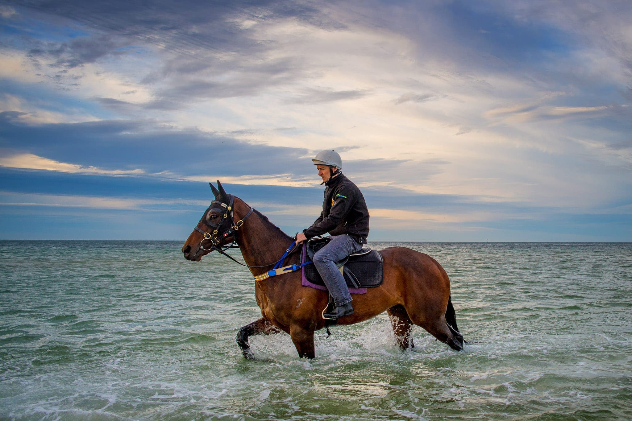 Winx, Altona, Colour IV — Winx Series photograph by Sharon Lee Chapman