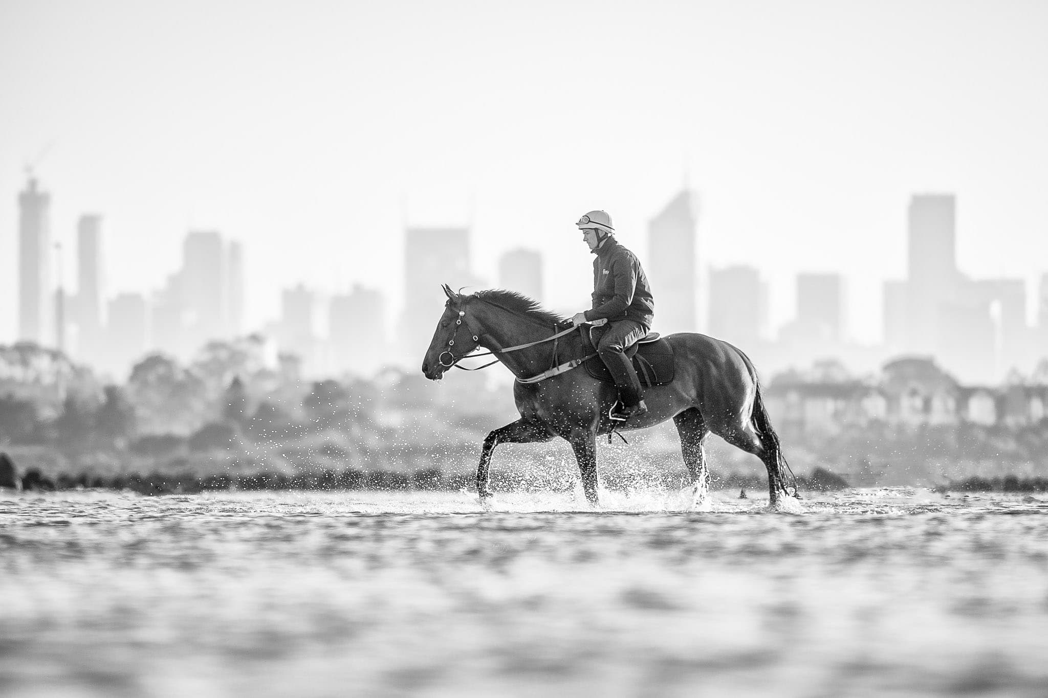 Winx, Altona, BW V — Winx Series photograph by Sharon Lee Chapman