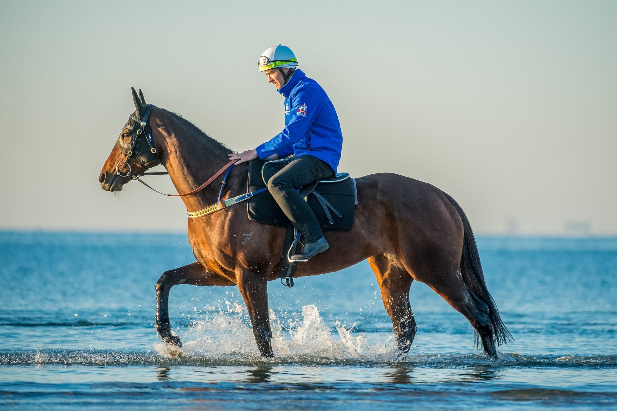 Winx, Altona, Colour II — Winx Series photograph by Sharon Lee Chapman