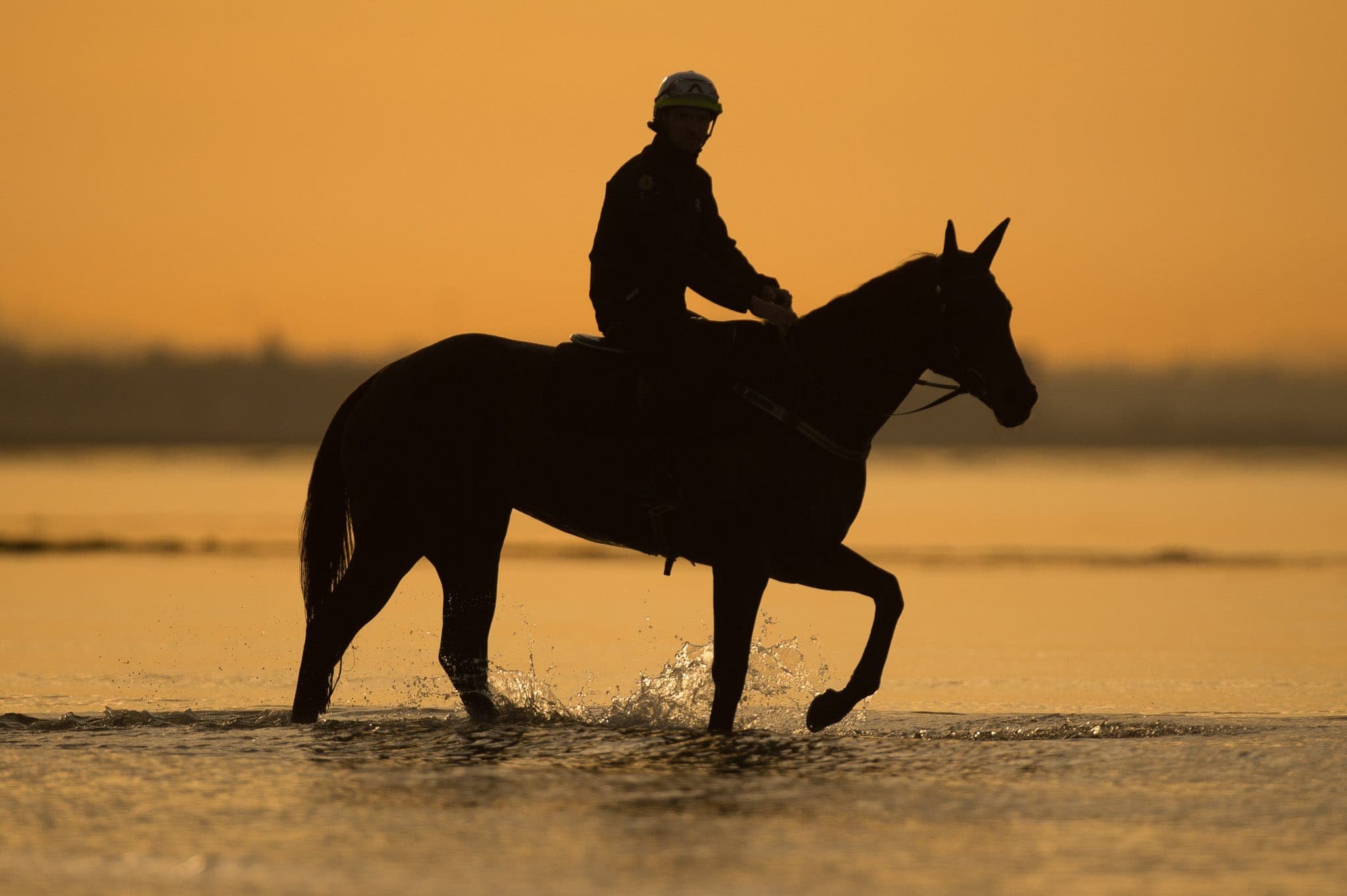 Winx, Altona, Sunrise II — Winx Series photograph by Sharon Lee Chapman