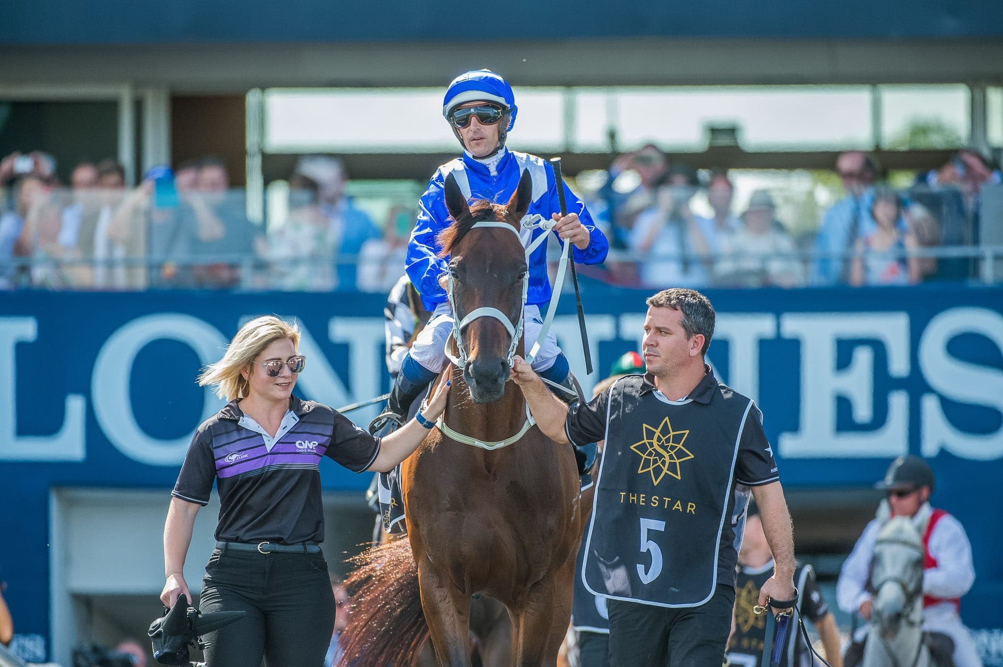 Winx, Apollo Stakes I — Winx Series photograph by Sharon Lee Chapman