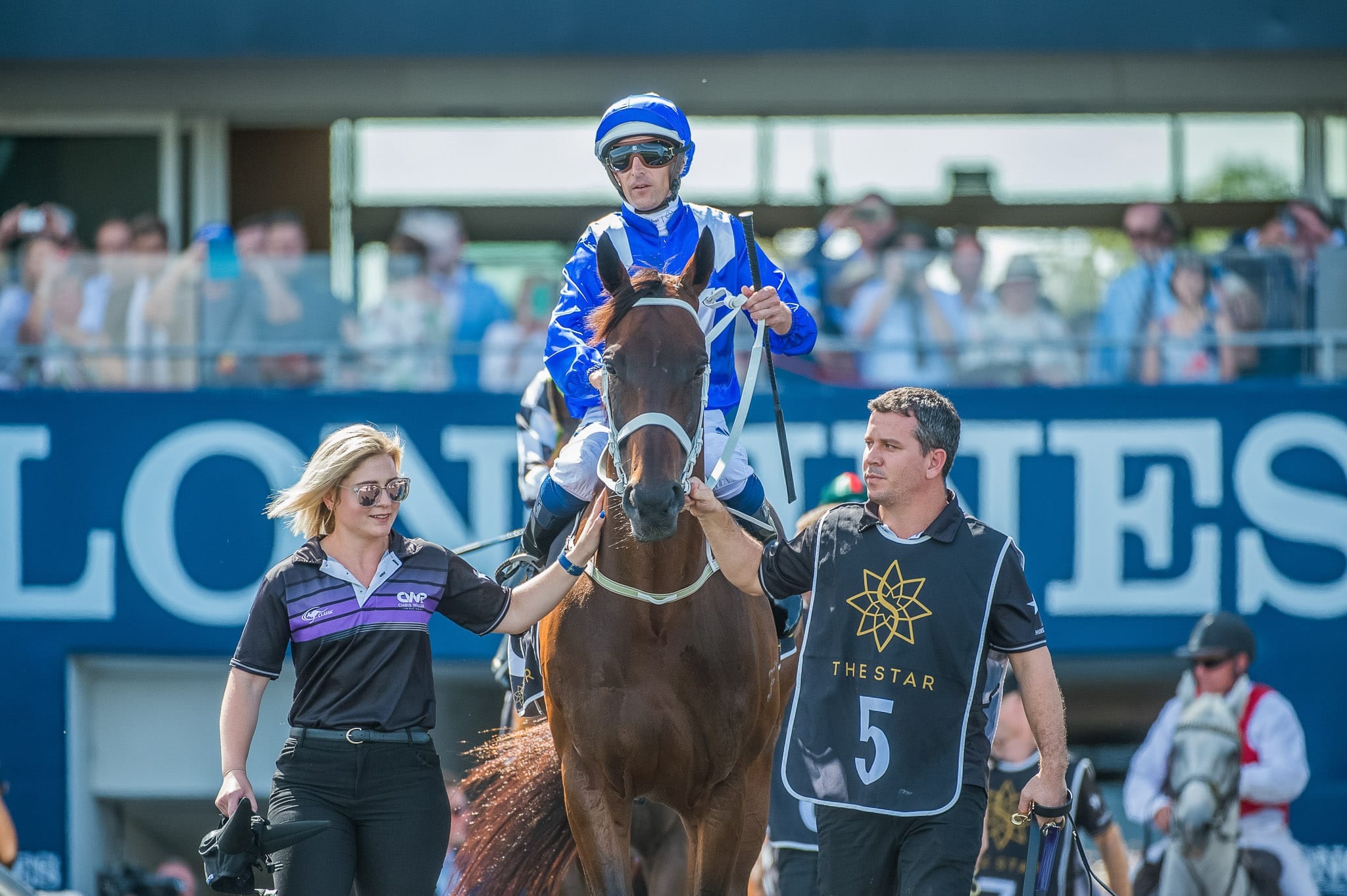 Winx, Apollo Stakes I — equine photograph by Sharon Lee Chapman