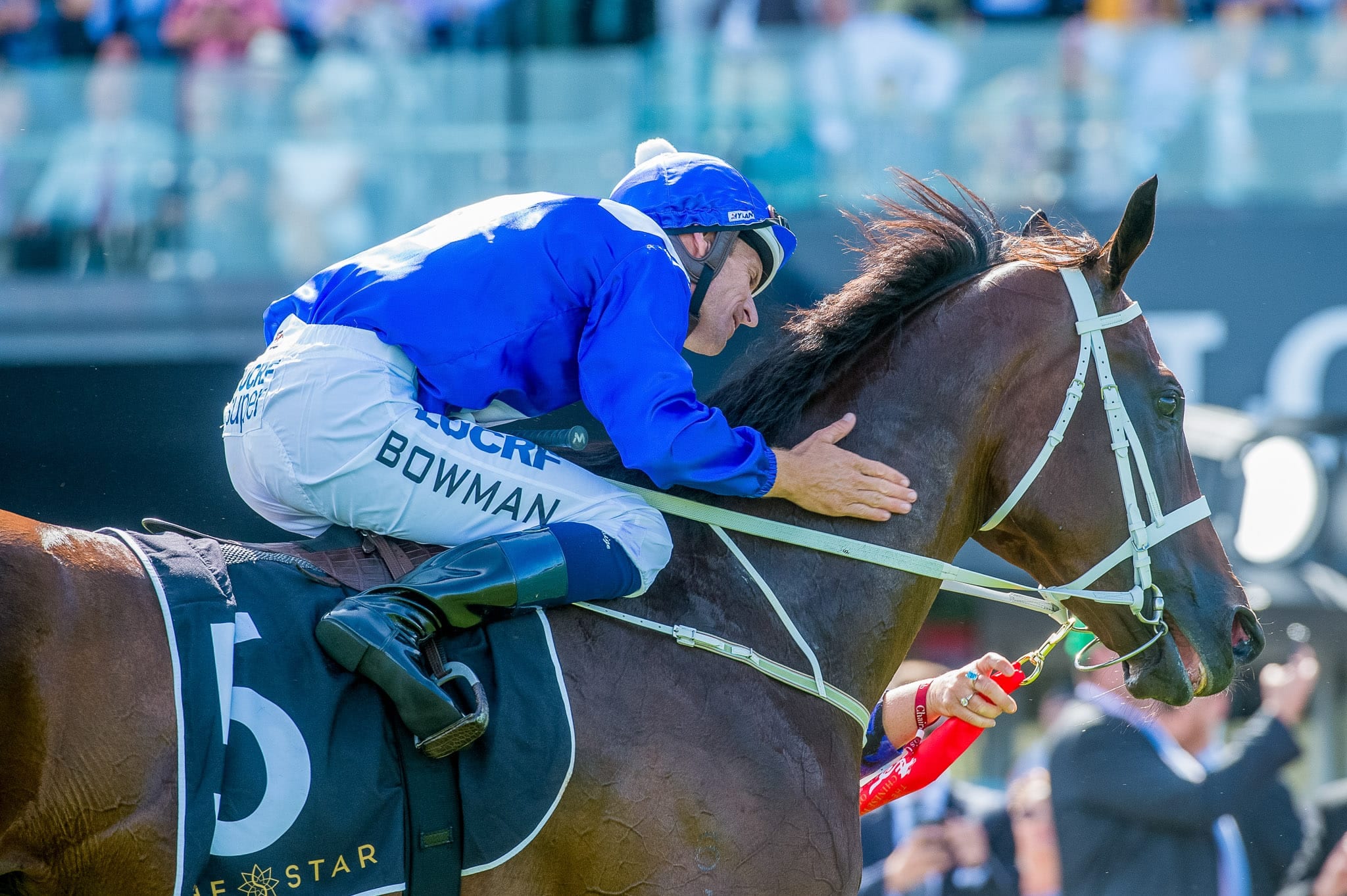 Winx, Apollo Stakes III — equine photograph by Sharon Lee Chapman