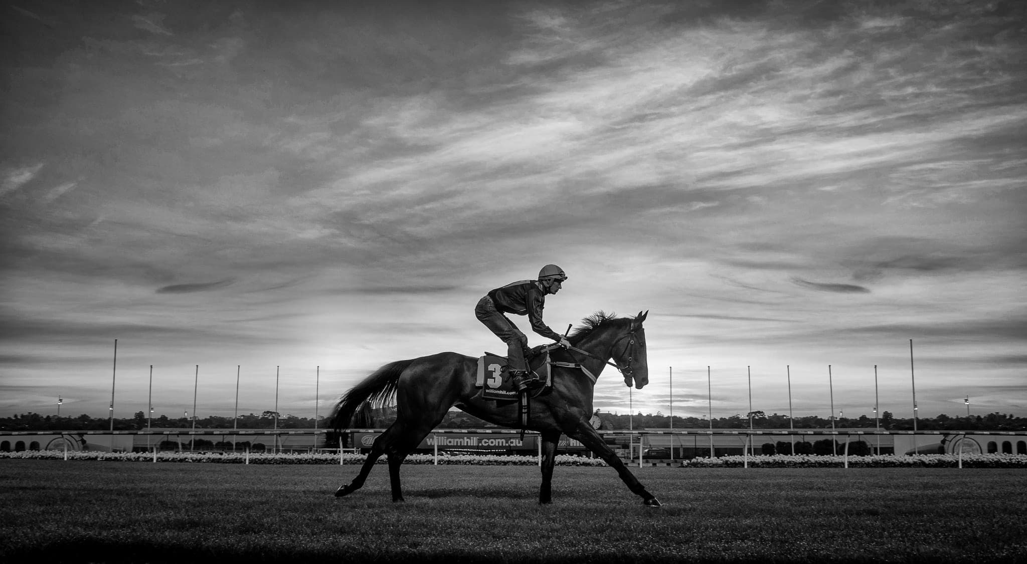 Winx, Breakfast With The Stars, BW — Winx Series photograph by Sharon Lee Chapman