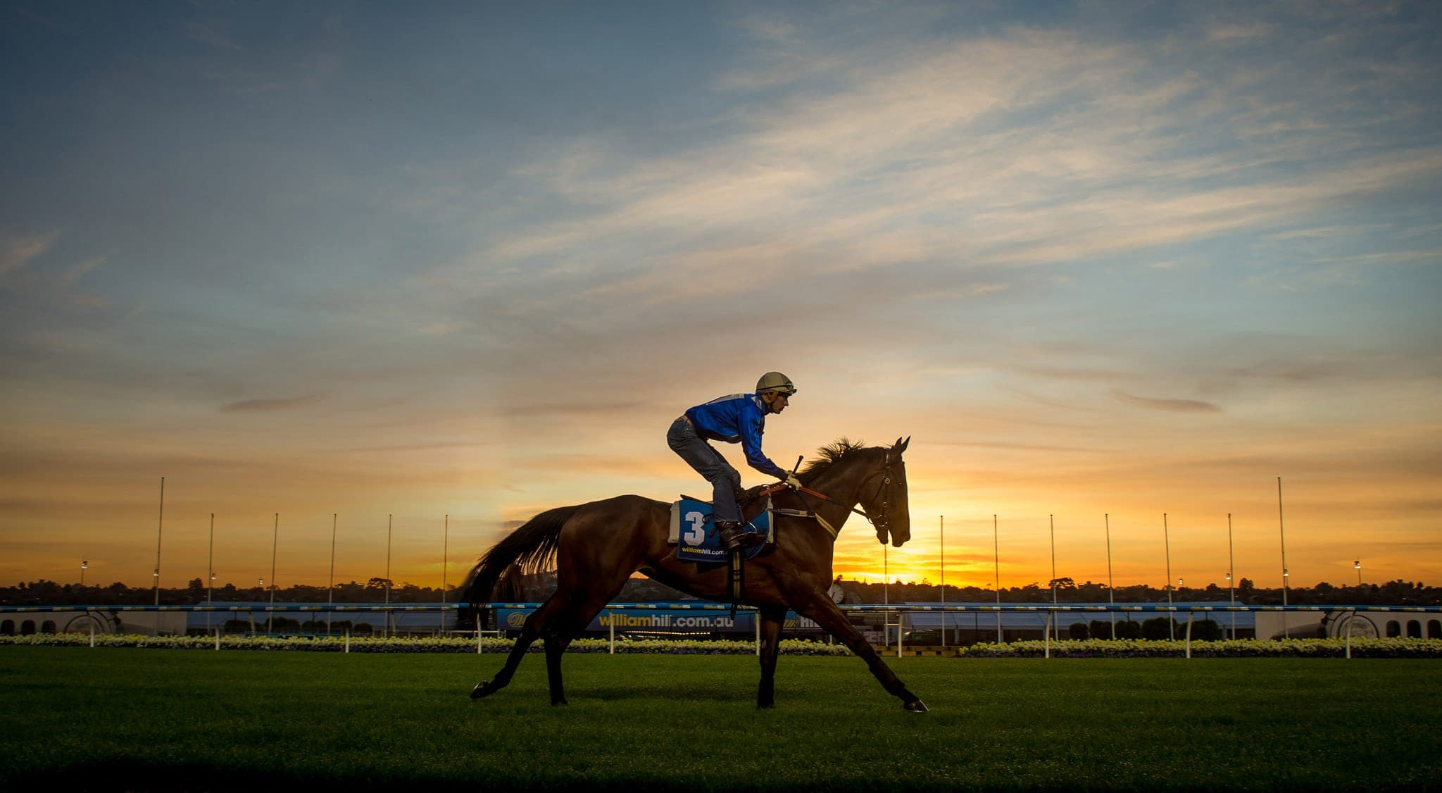 Winx, Breakfast With The Stars, Colour — Winx Series photograph by Sharon Lee Chapman