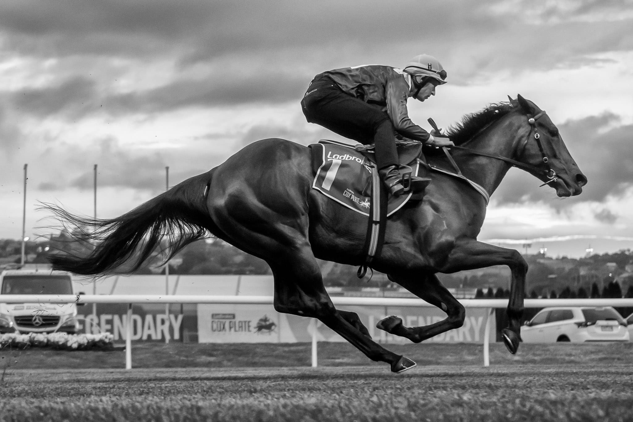 Winx, Breakfast with the Stars, BW — equine photograph by Sharon Lee Chapman