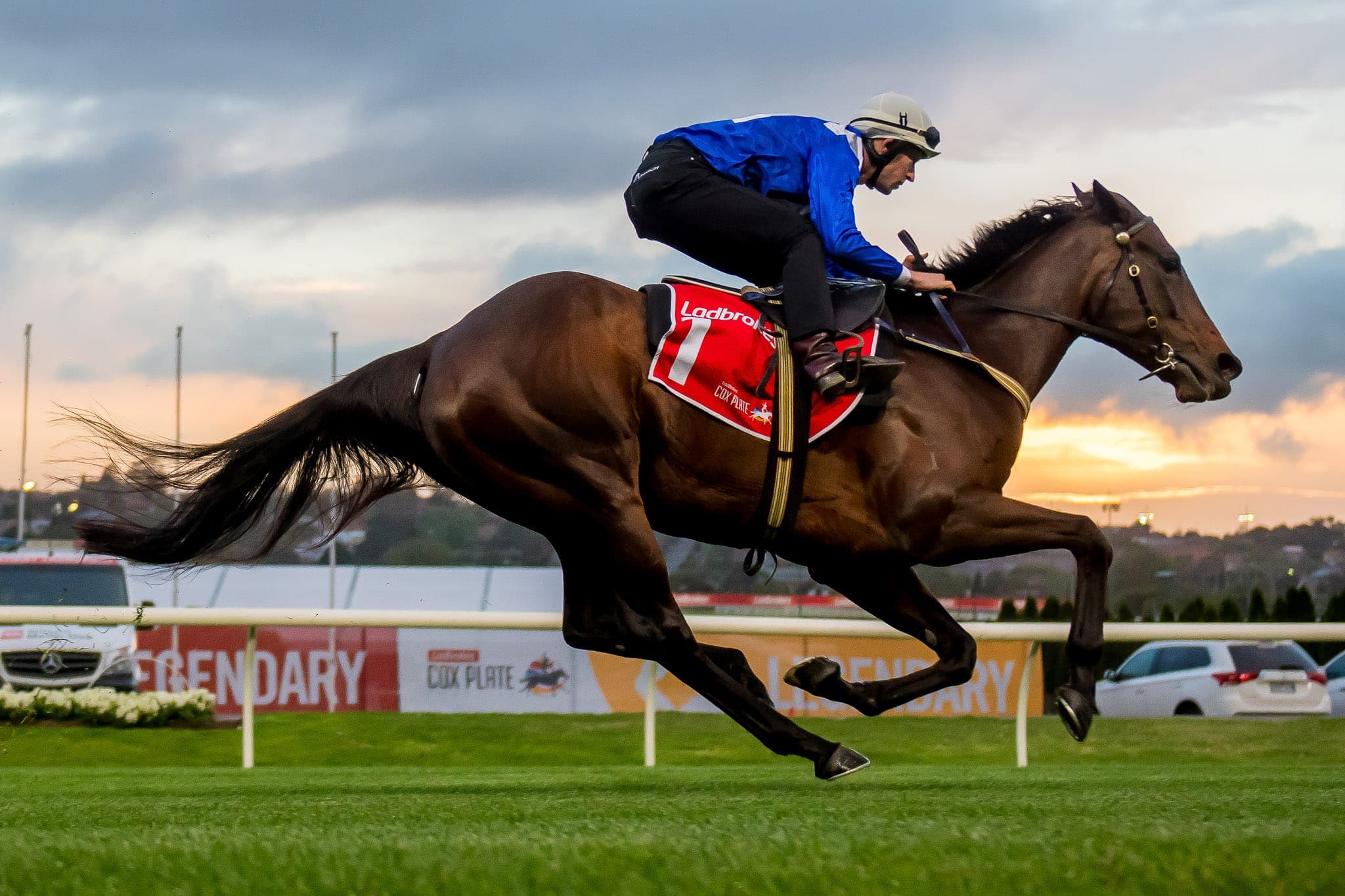 Winx, Breakfast with the Stars, Colour — Winx Series photograph by Sharon Lee Chapman