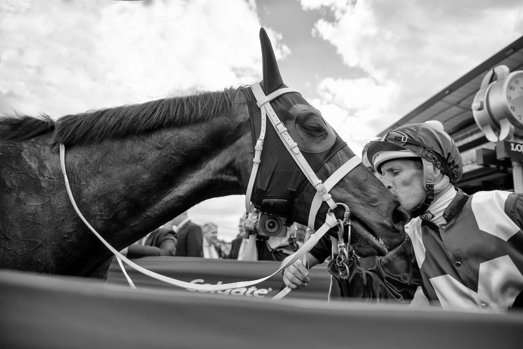 Winx, Colglate Optic White Stakes, BW — equine photograph by Sharon Lee Chapman