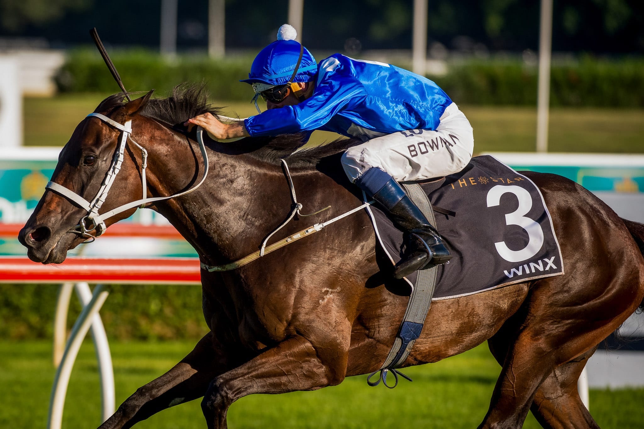 Winx, Doncaster Mile — equine photograph by Sharon Lee Chapman