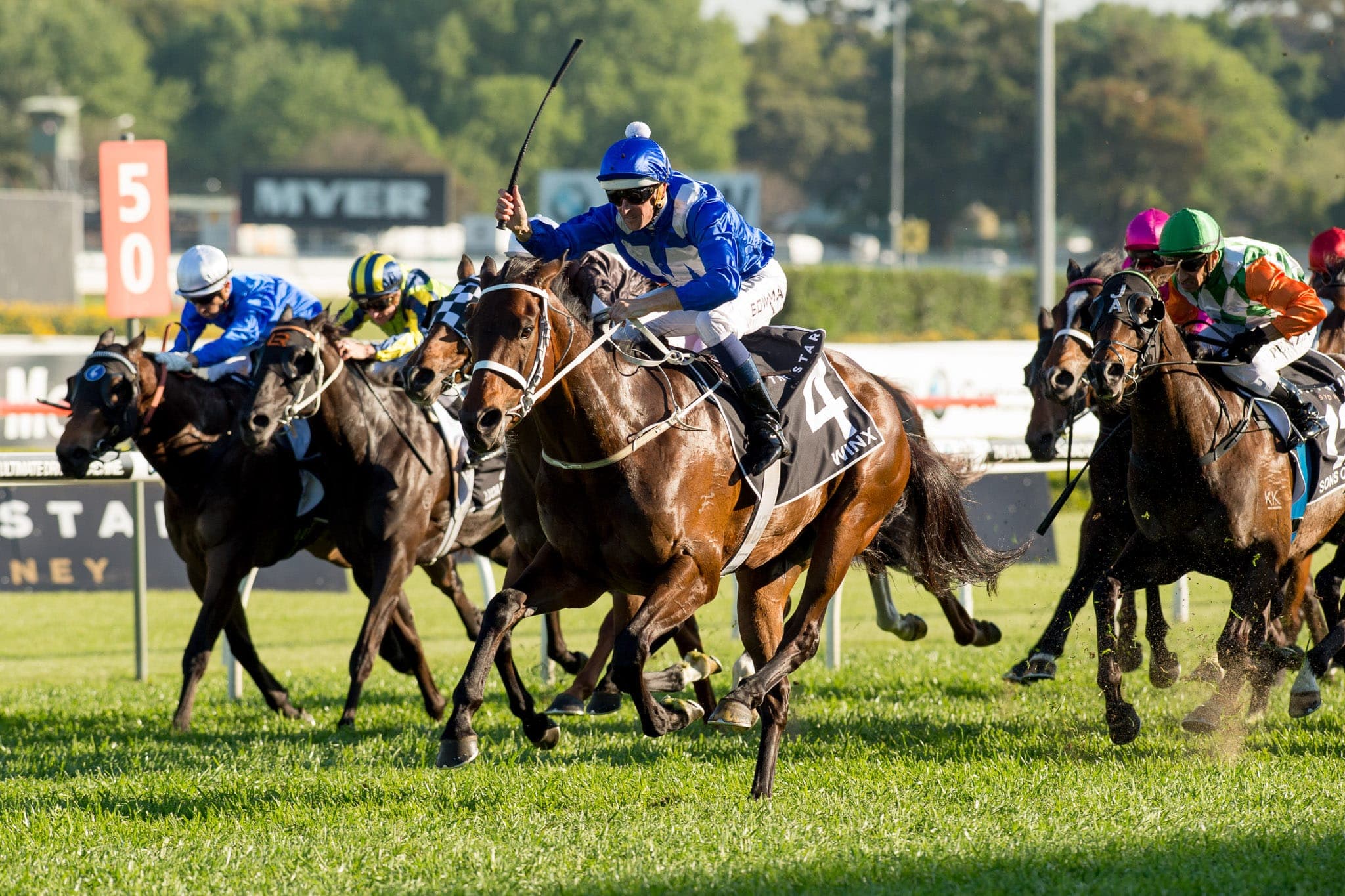 Winx, Epsom I — Winx Series photograph by Sharon Lee Chapman