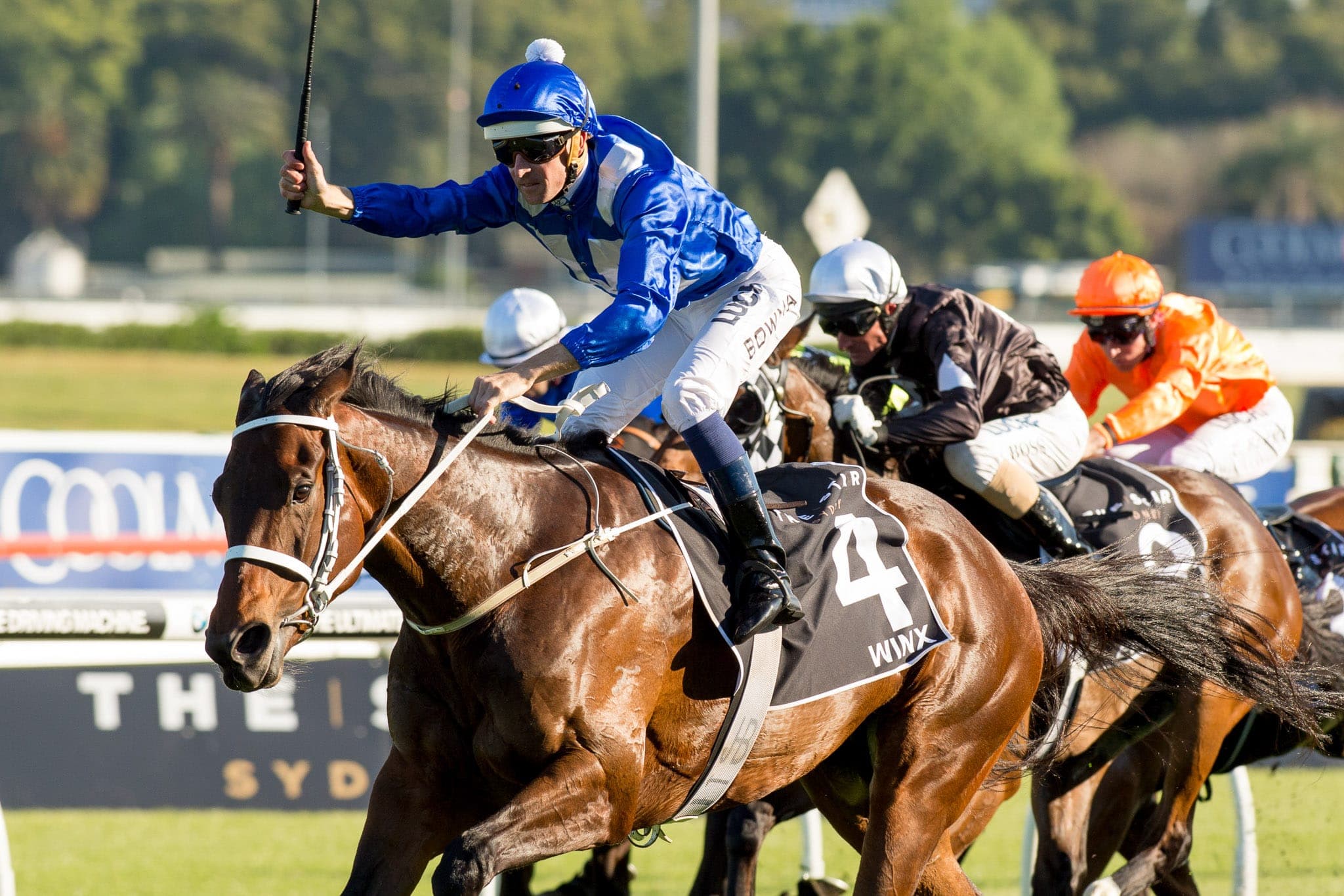 Winx, Epsom II — Winx Series photograph by Sharon Lee Chapman