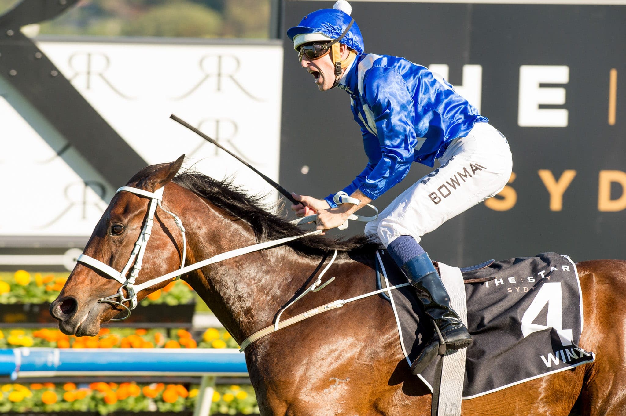 Winx, Epsom IV — Winx Series photograph by Sharon Lee Chapman