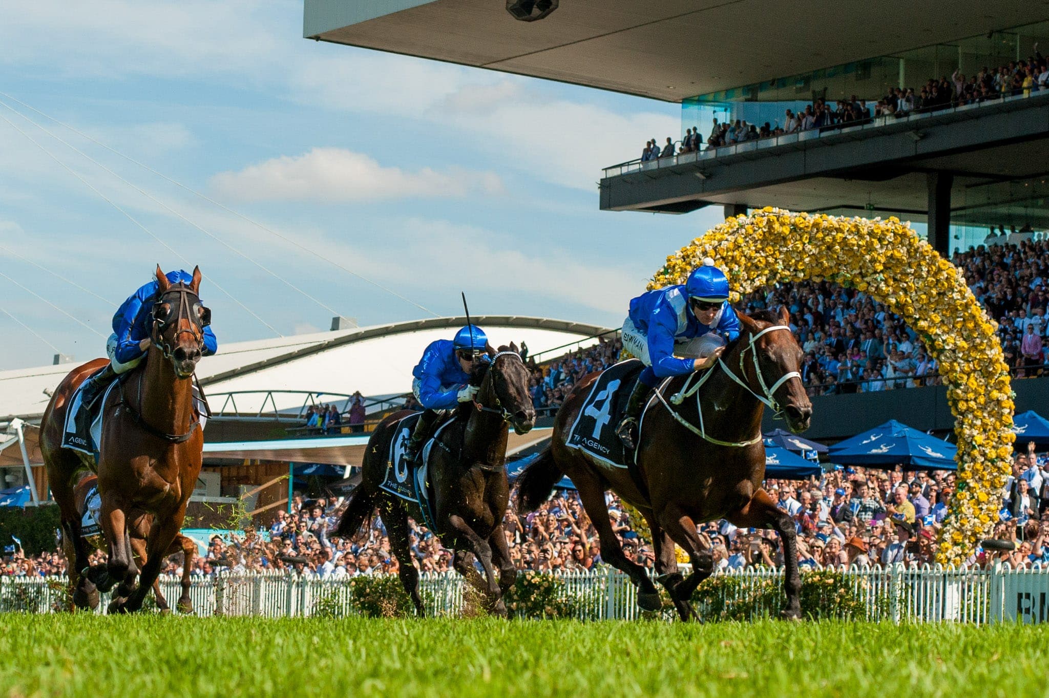 Winx, George Ryder III — Winx Series photograph by Sharon Lee Chapman