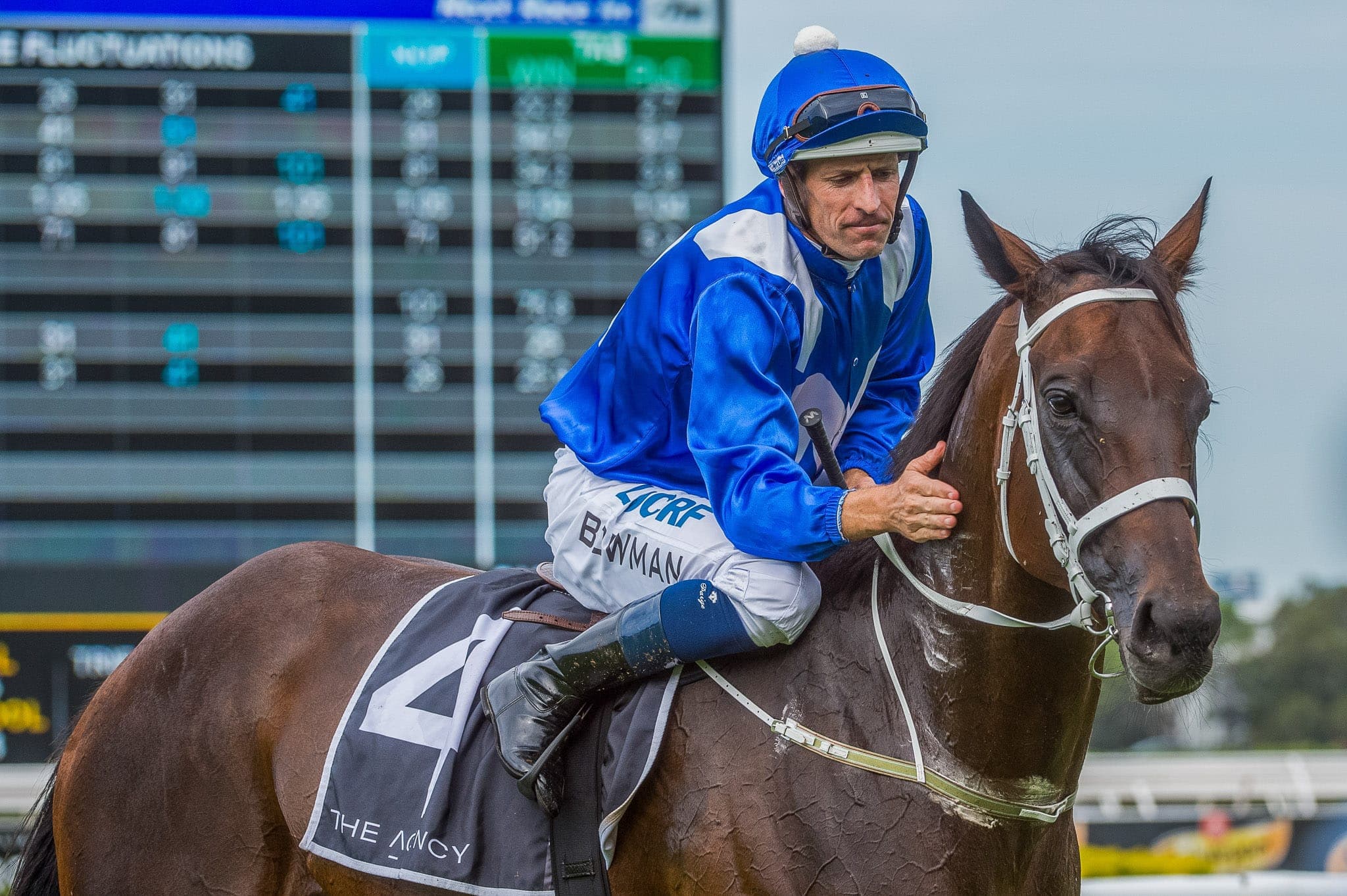 Winx, George Ryder, Colour IV — Winx Series photograph by Sharon Lee Chapman