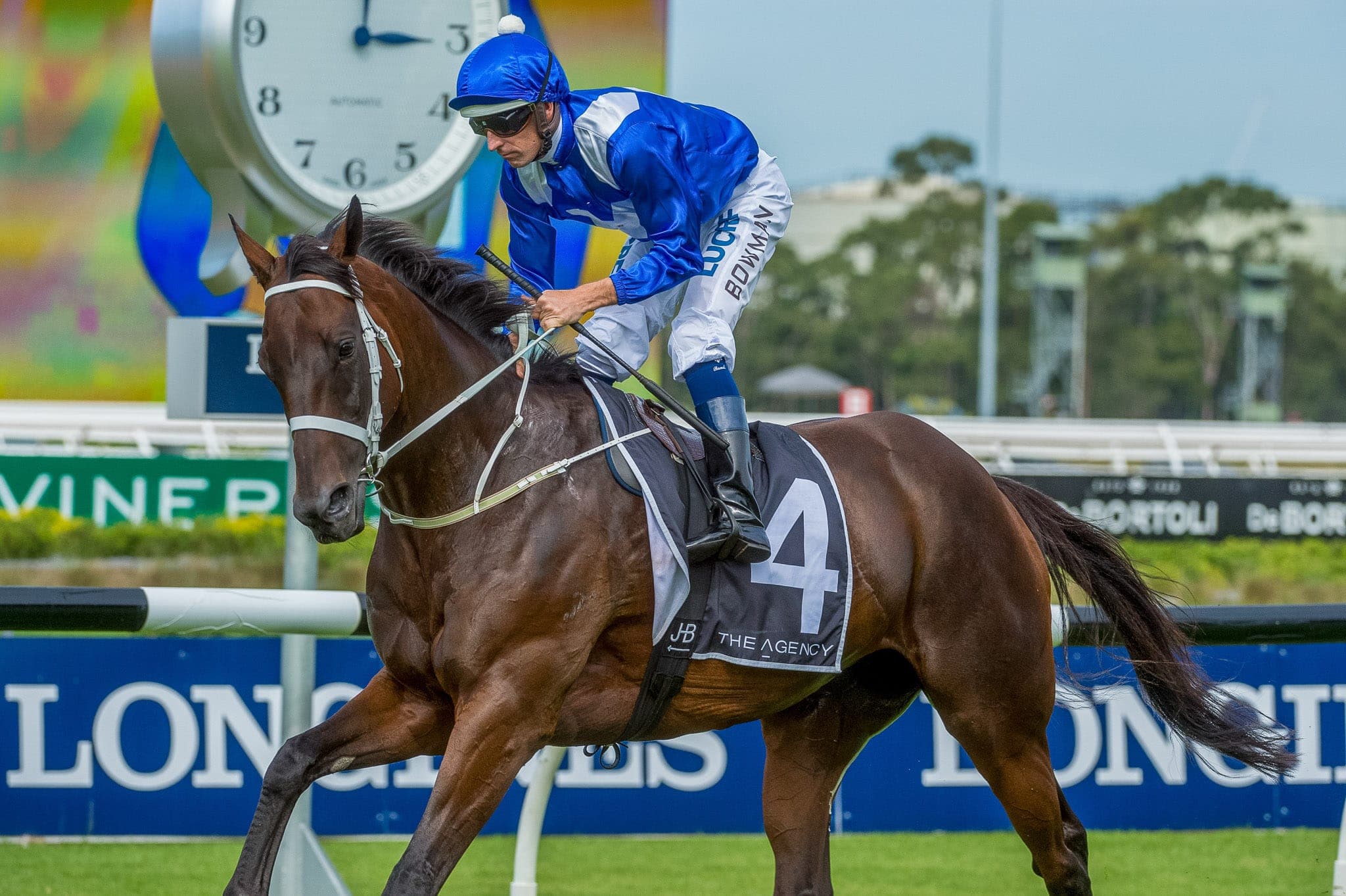 Winx, George Ryder IV — Winx Series photograph by Sharon Lee Chapman