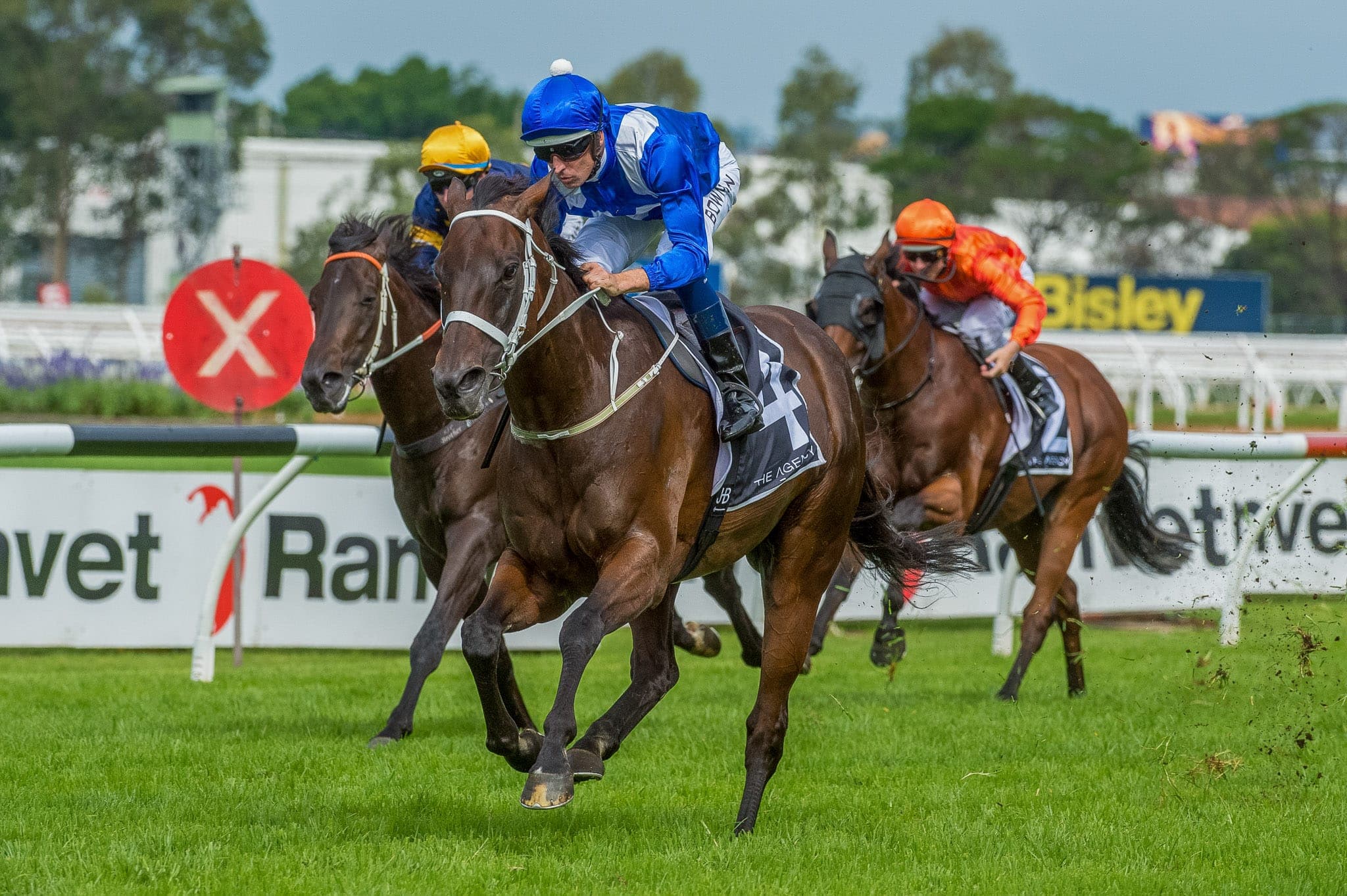 Winx, George Ryder V — Winx Series photograph by Sharon Lee Chapman