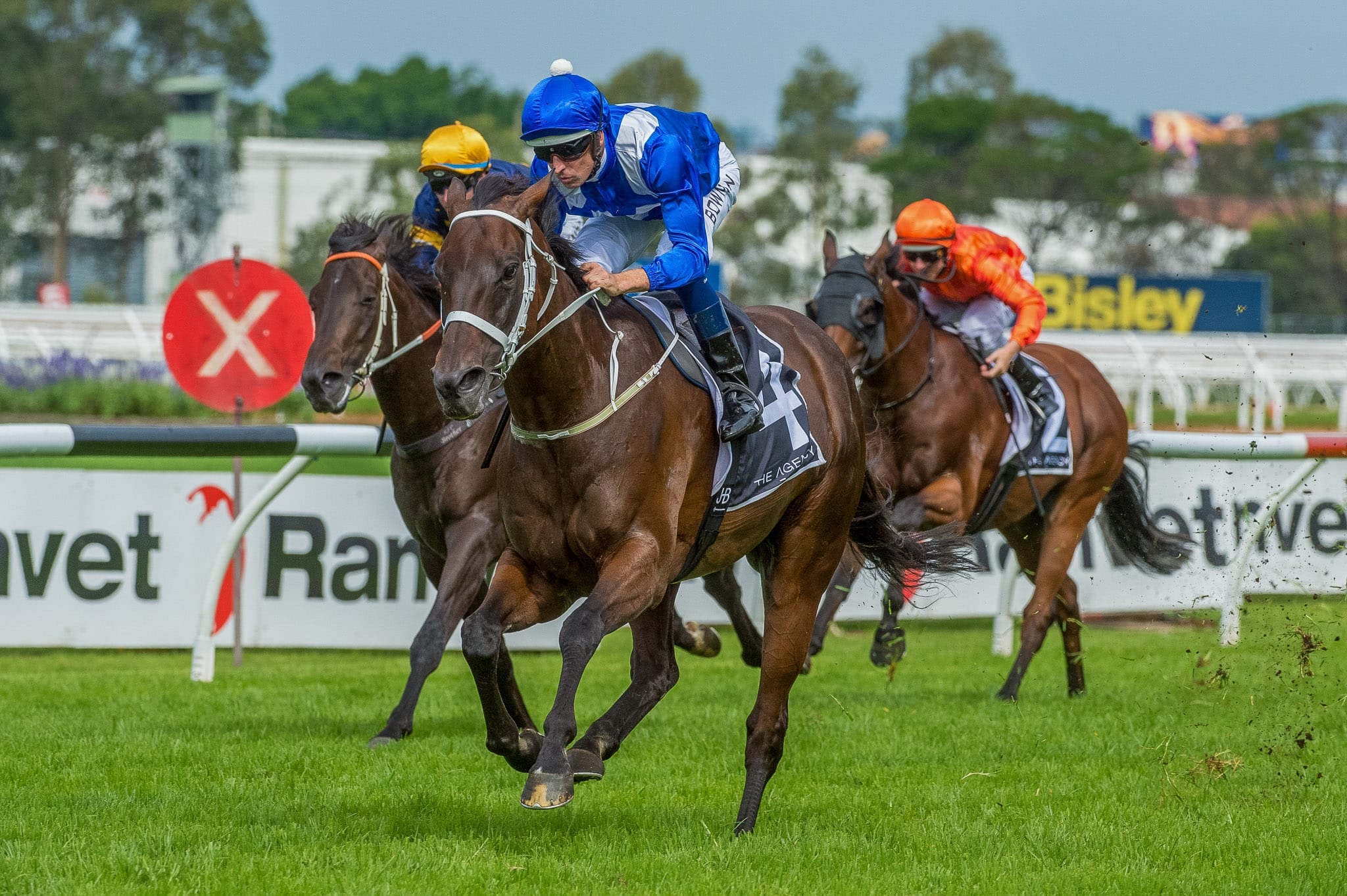 Winx, George Ryder V — equine photograph by Sharon Lee Chapman