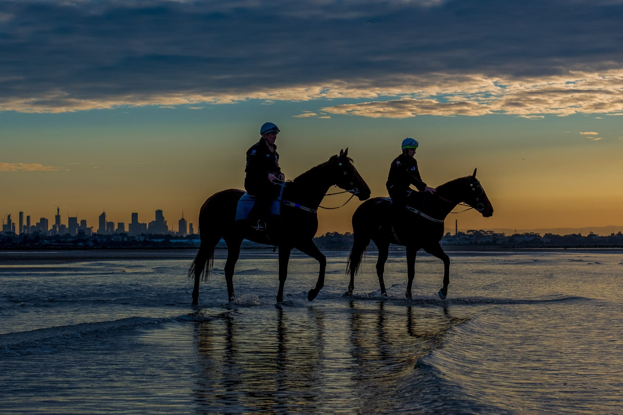 Winx Invincibella, Altona, Colour — equine photograph by Sharon Lee Chapman