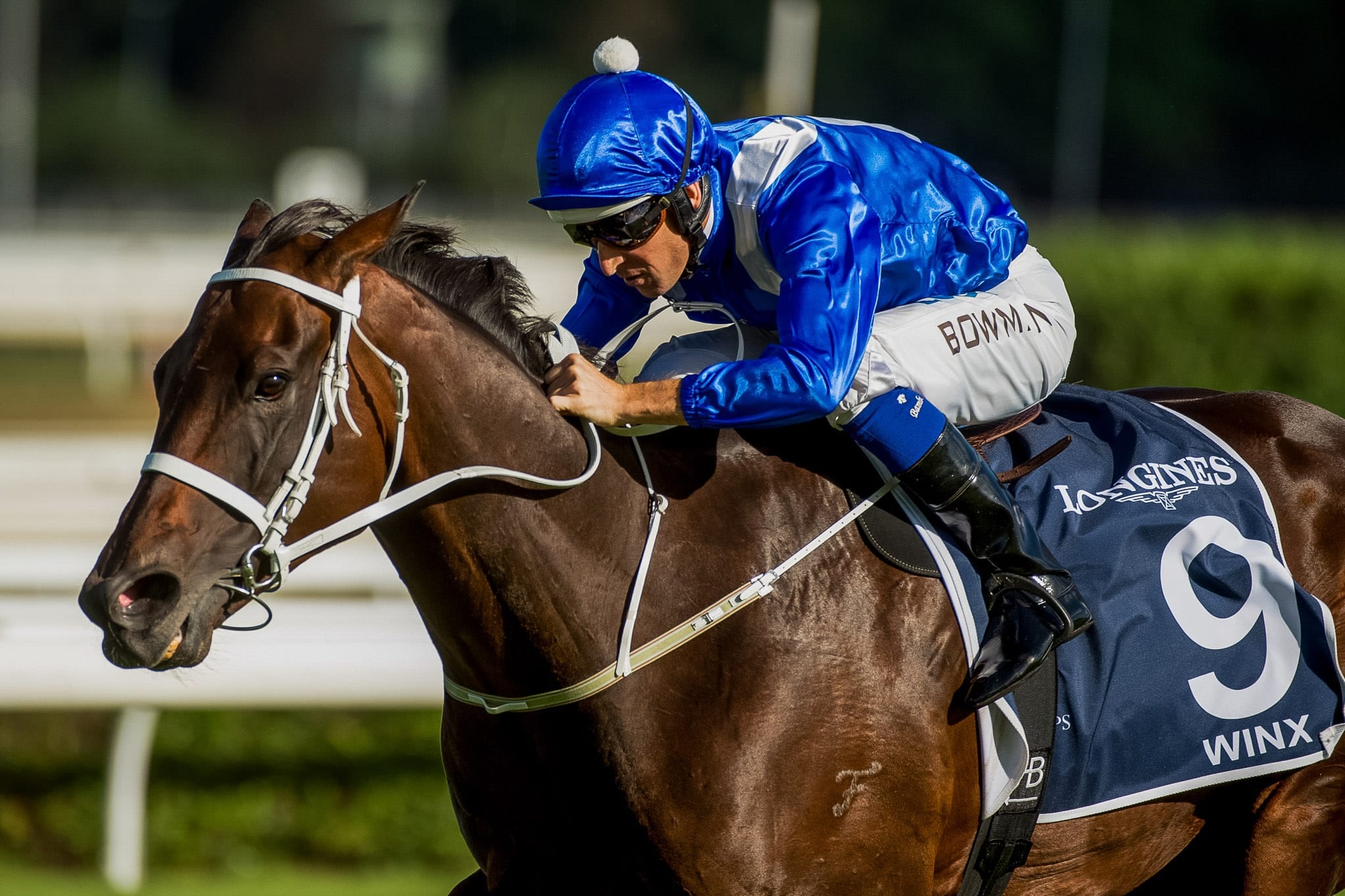 Winx, Queen Elizabeth III — equine photograph by Sharon Lee Chapman