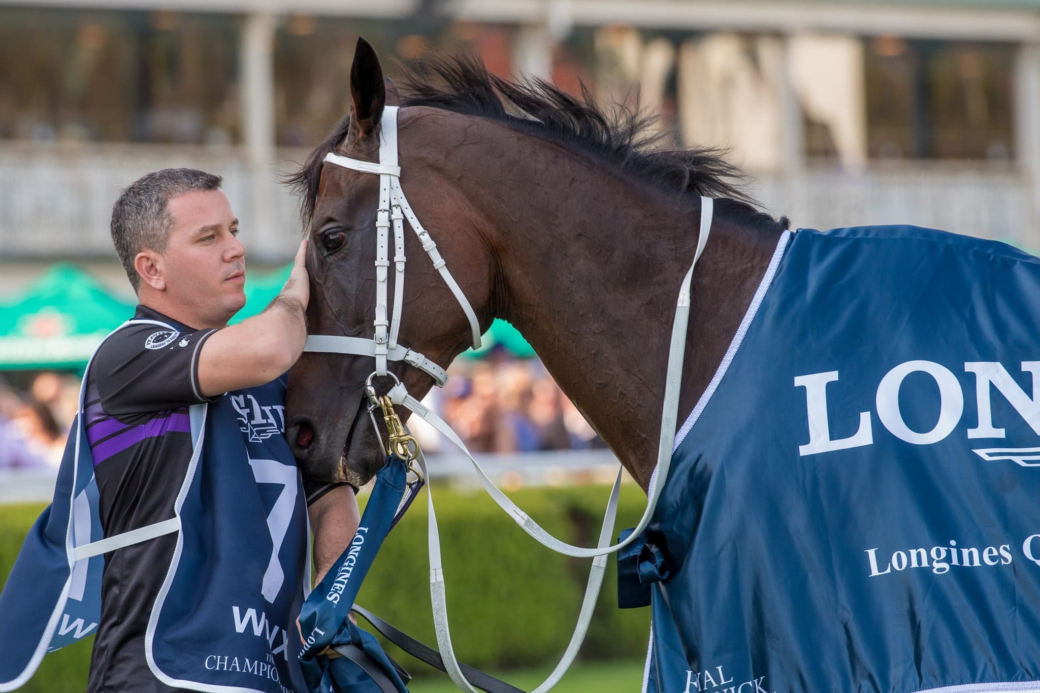 Winx, Queen Elizabeth V — equine photograph by Sharon Lee Chapman