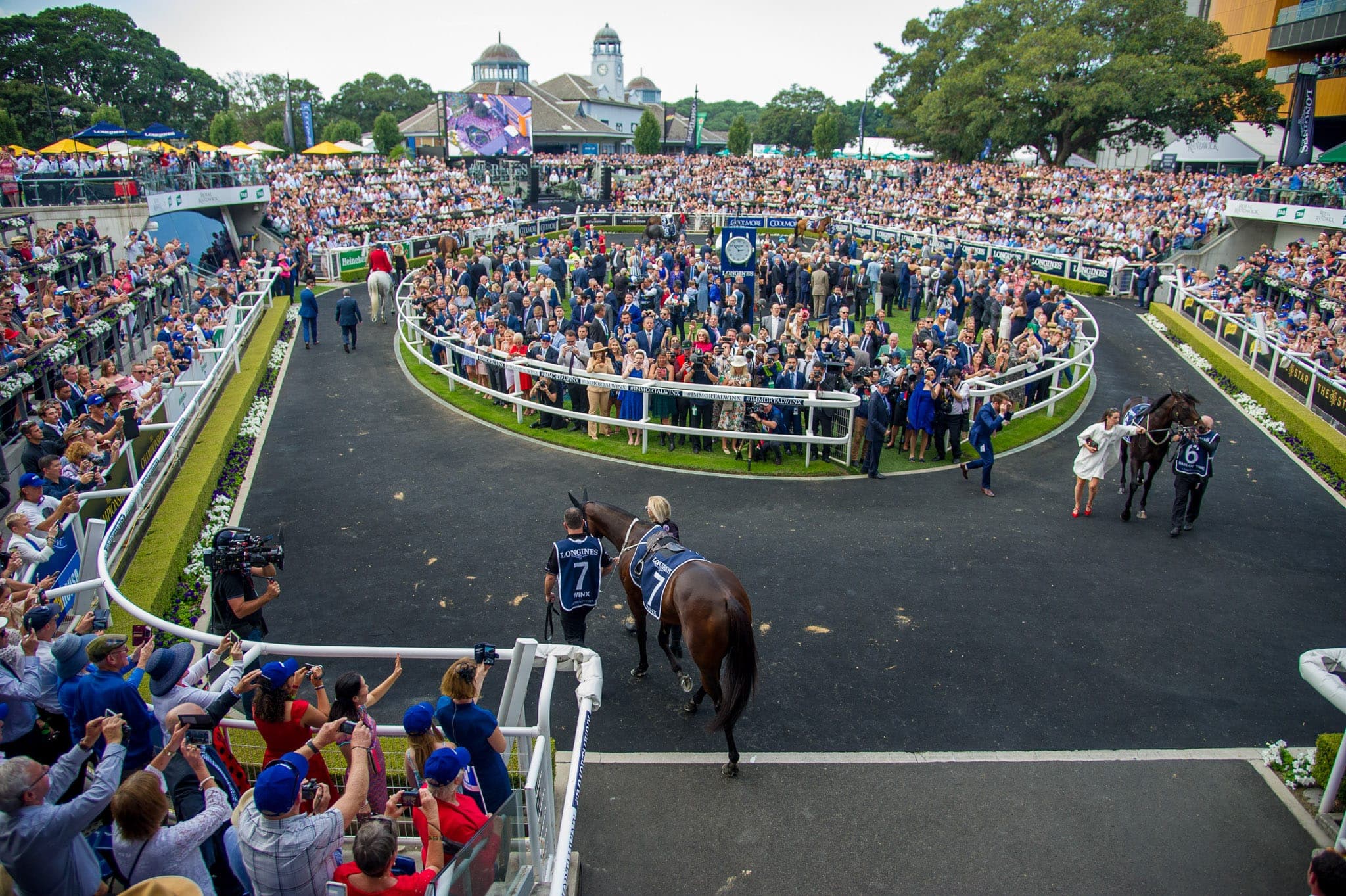 Winx, Queen Elizabeth VI — Winx Series photograph by Sharon Lee Chapman