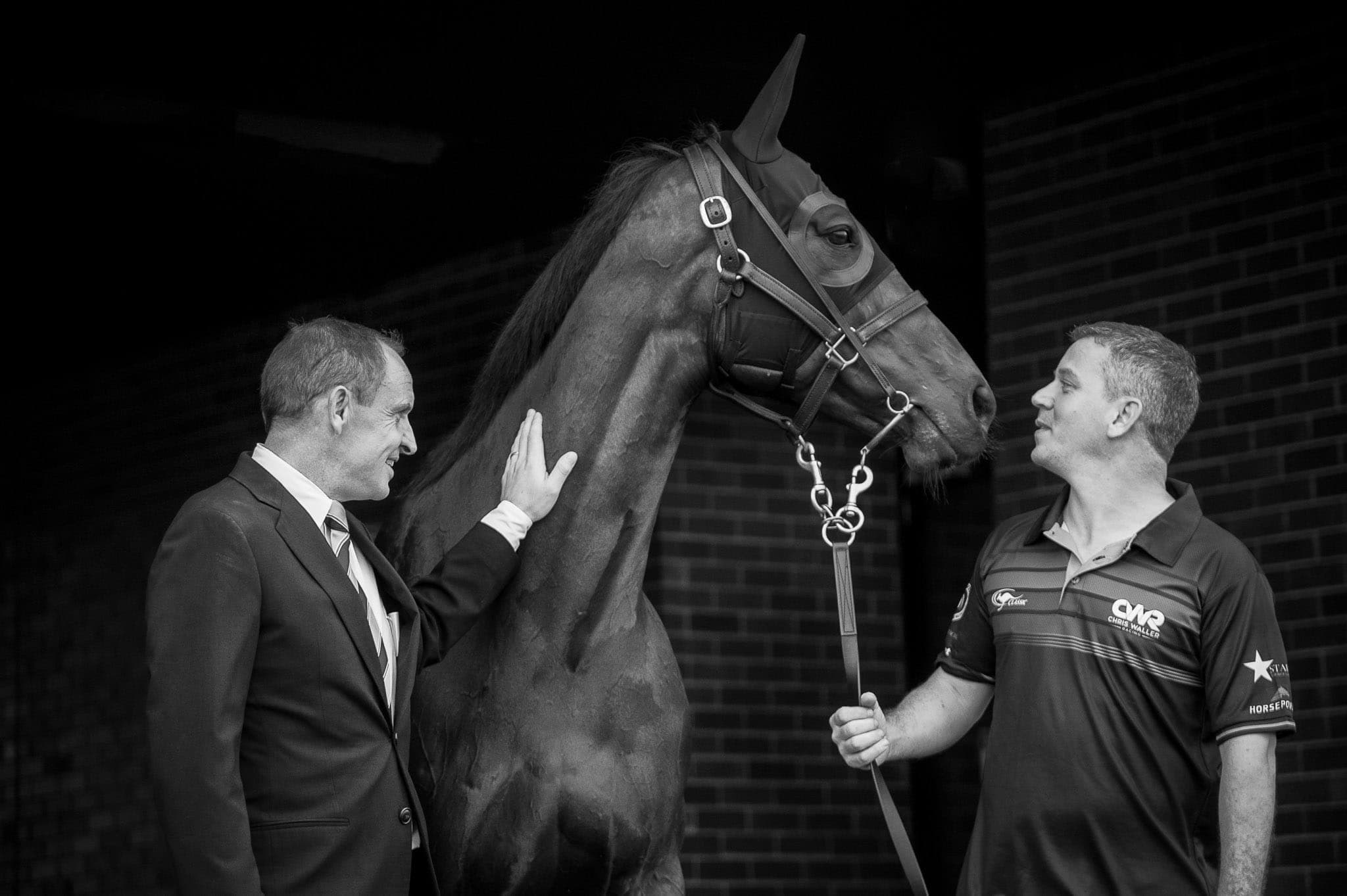 Winx, Queen Elizabeth 2019, BW — Winx Series photograph by Sharon Lee Chapman