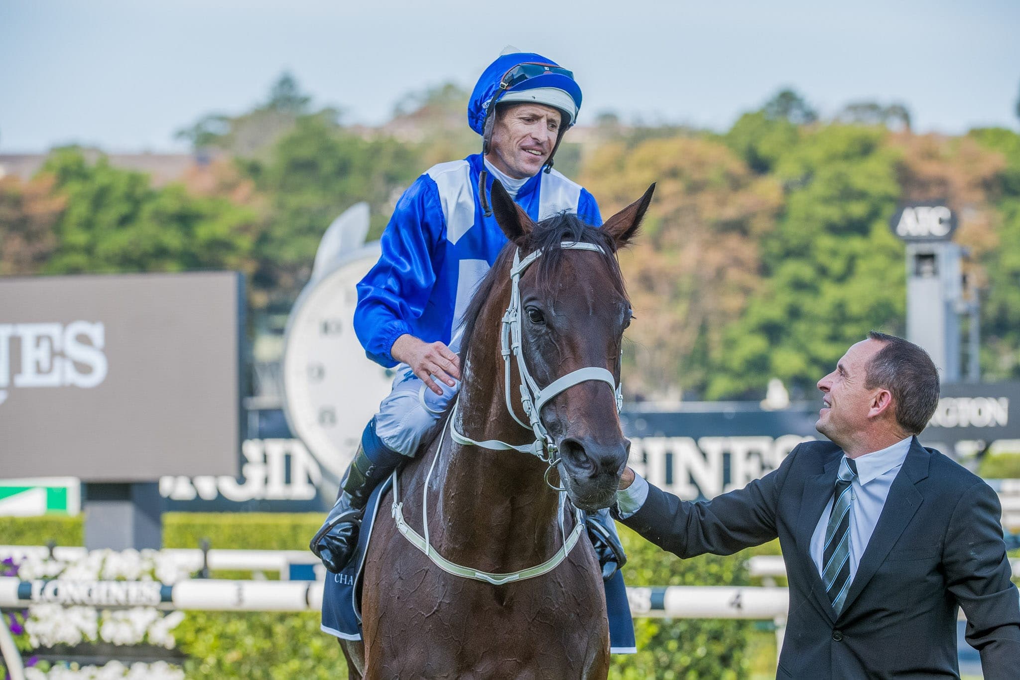 Winx, Queen Elizabeth 2019, Colour I — Winx Series photograph by Sharon Lee Chapman