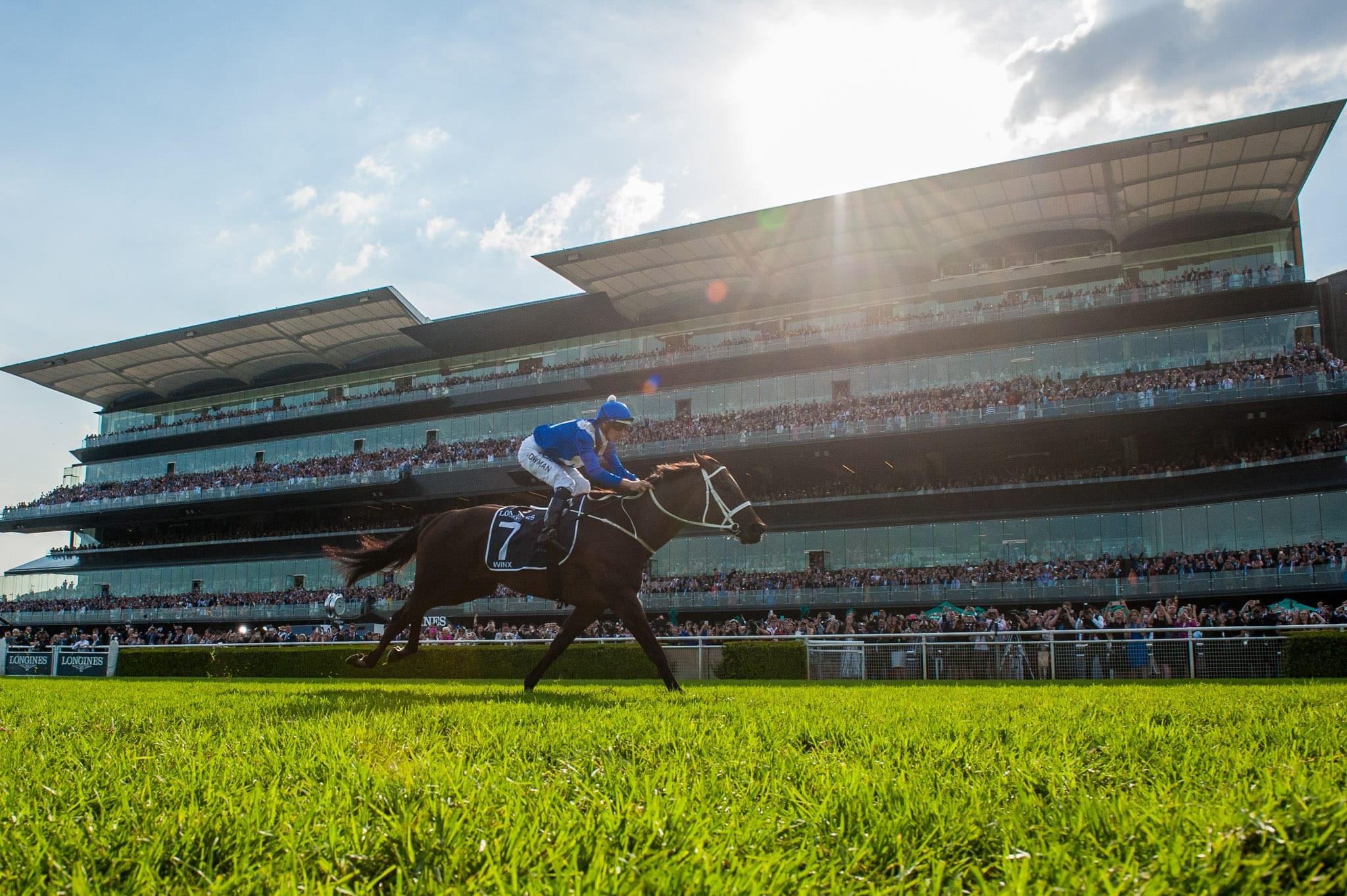 Winx, Queen Elizabeth 2019, Colour III — equine photograph by Sharon Lee Chapman