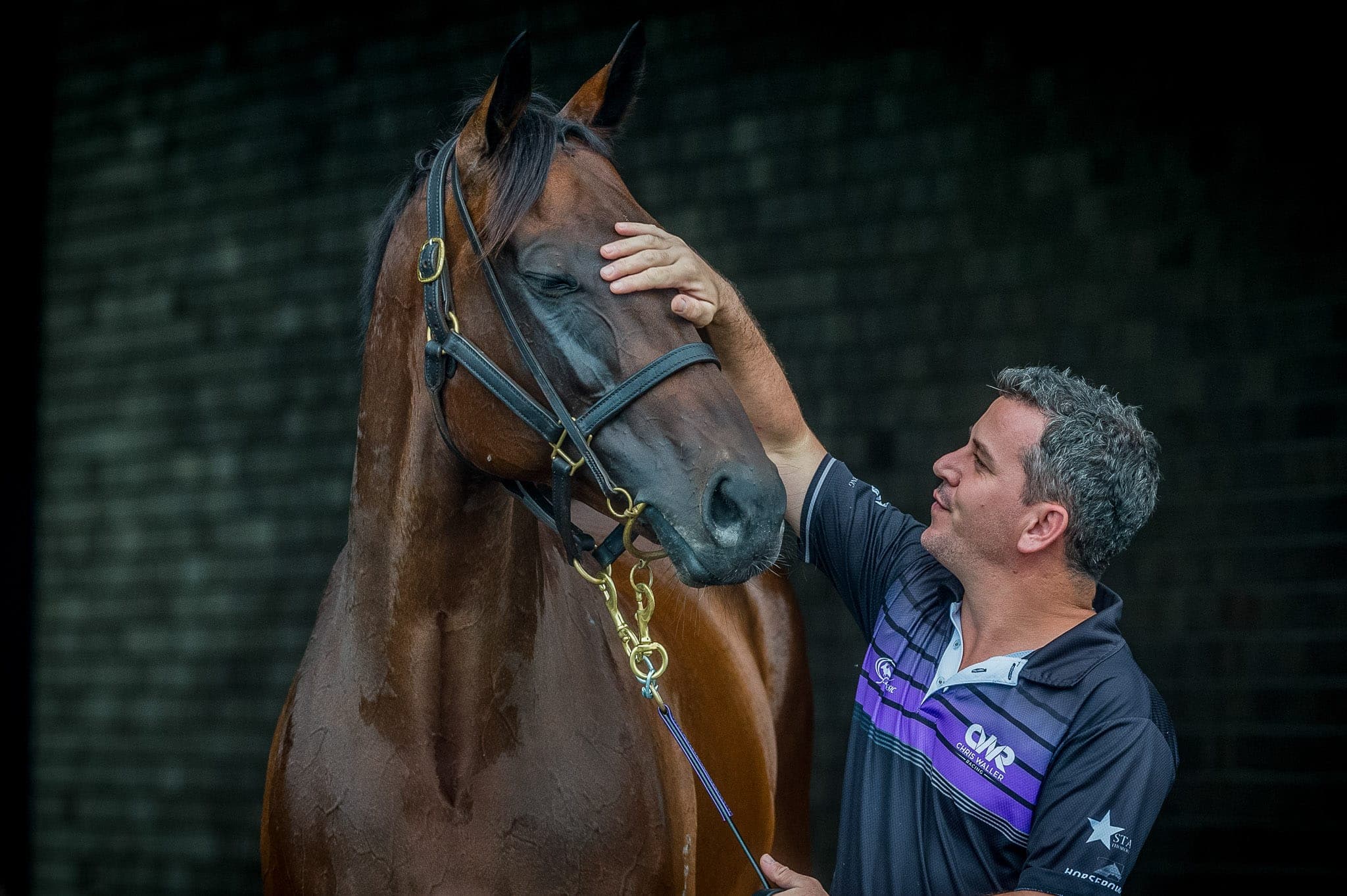 Winx, Umut, Chipping Norton 2019 II — Winx Series photograph by Sharon Lee Chapman