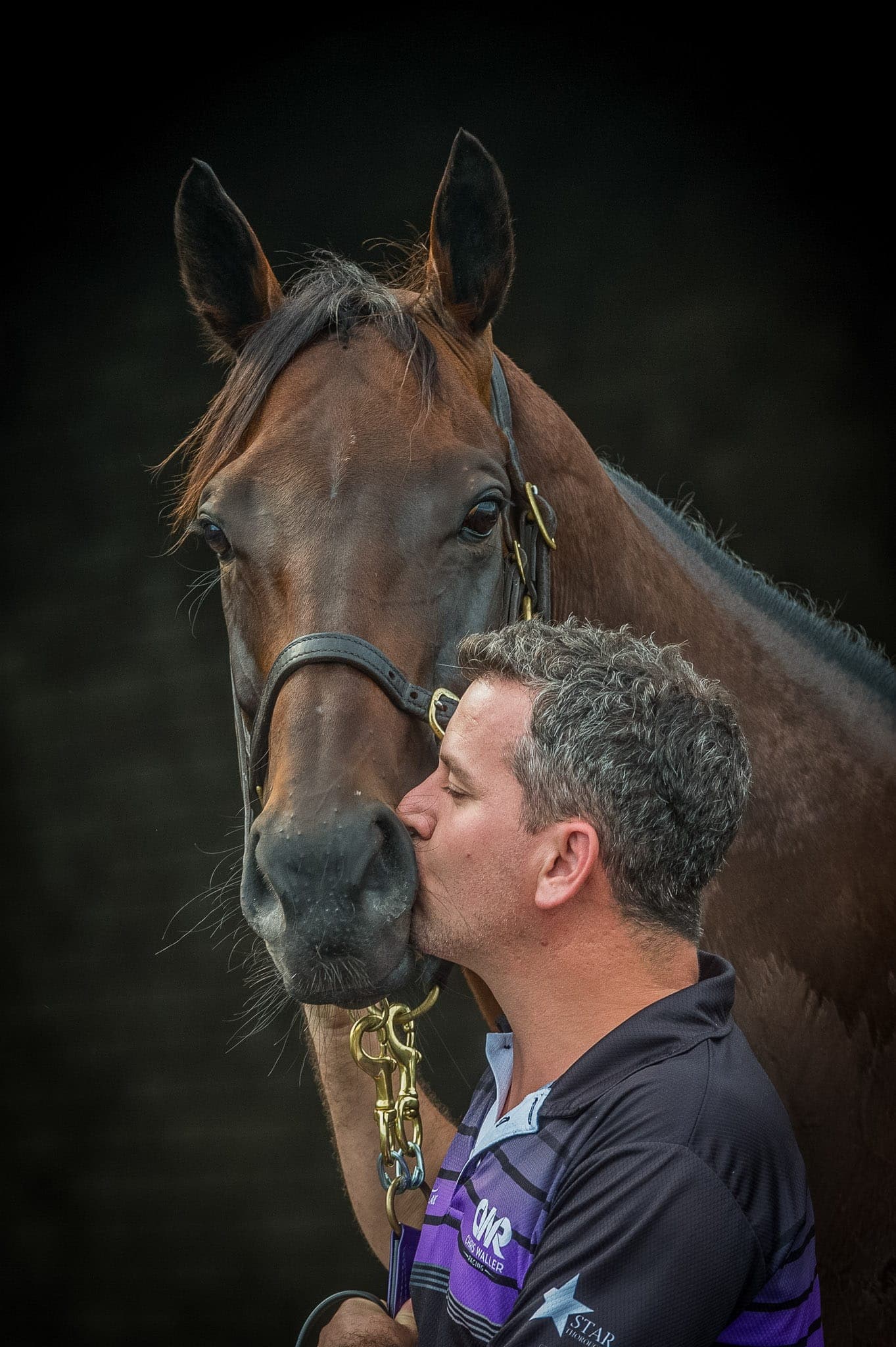 Winx, Umut, Chipping Norton 2019 III — Winx Series photograph by Sharon Lee Chapman