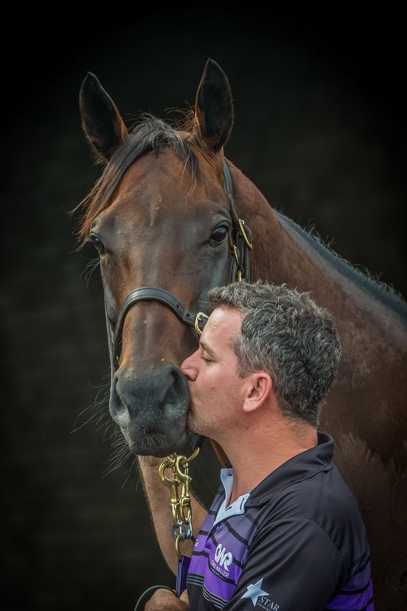 Winx, Umut, Chipping Norton 2019 III — equine photograph by Sharon Lee Chapman